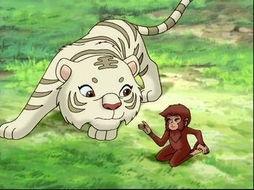 小虎还乡在线观看,乡愁与成长的交织之旅